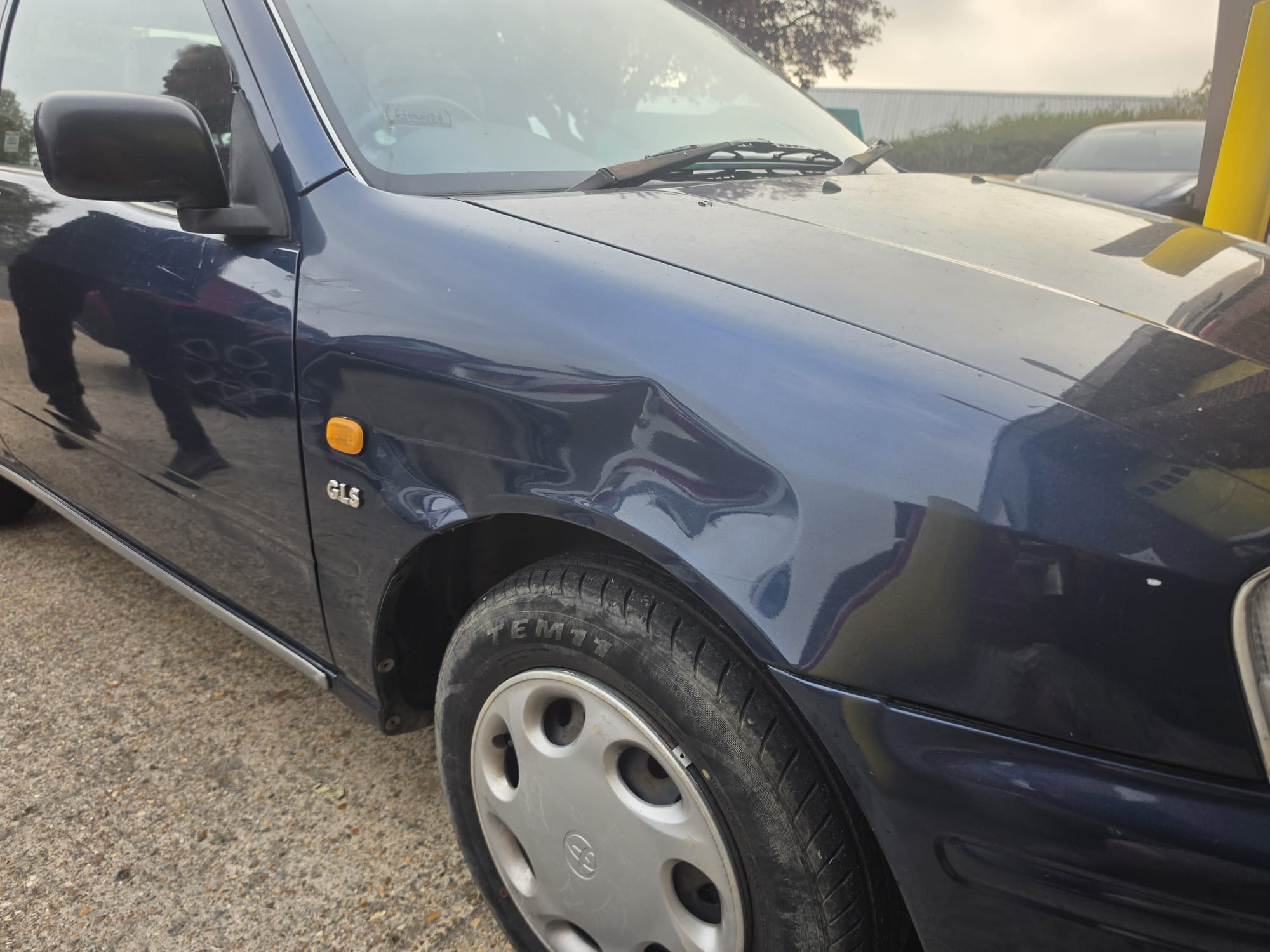 Wing Damage Image